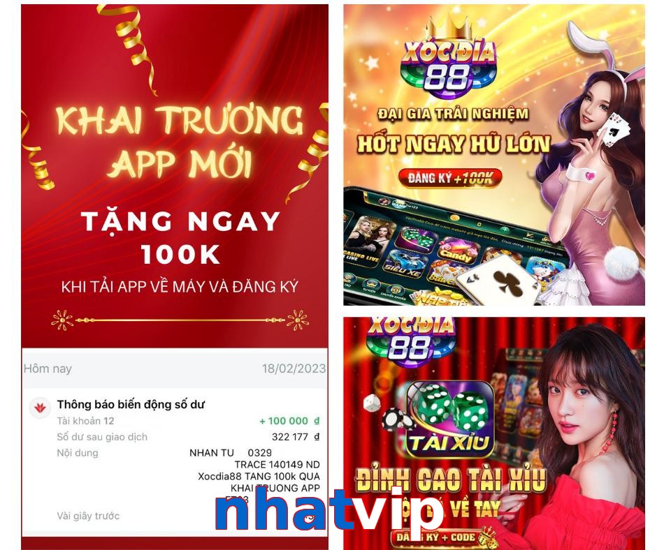 nhatvip